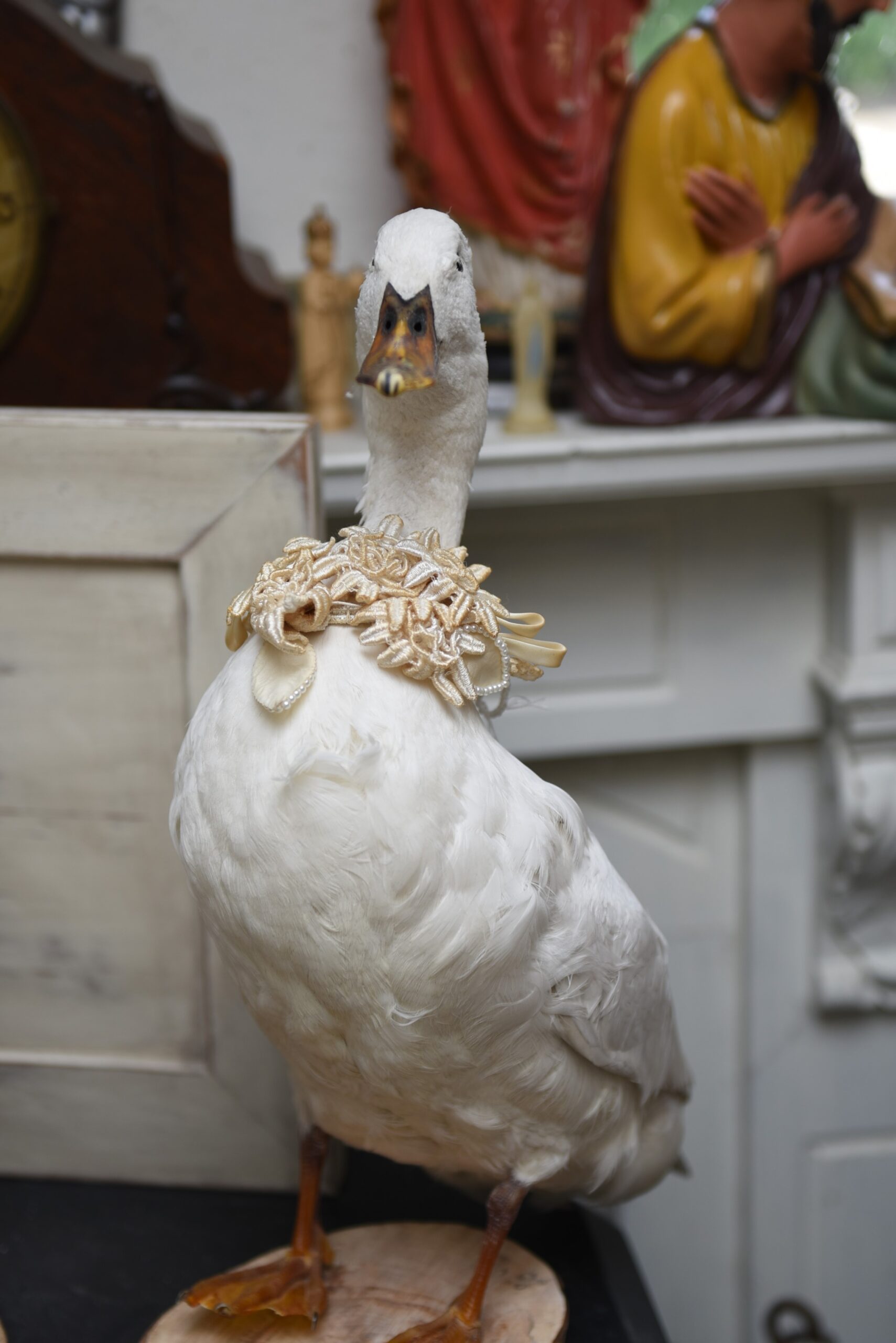 Antiek & Rommelmarkt in 't Bau-Huis in Sint-Niklaas