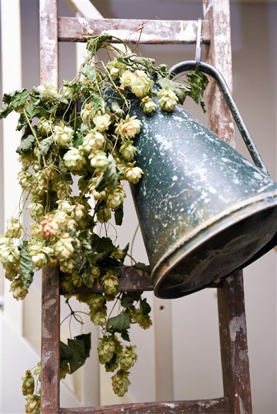 "Klein Frankrijk"  is een gezellige Franse Brocante Markt