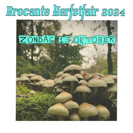 Brocante herfstfair Maasbree