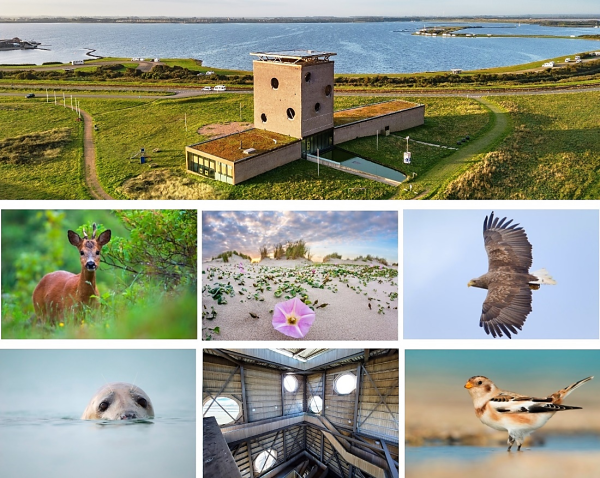 Liefde voor Brocante - Brocante magazine